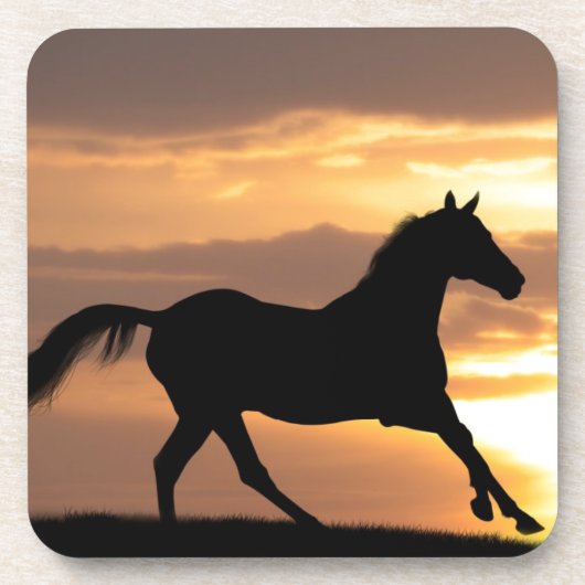 Pferd im Sonnenuntergang Getränkeuntersetzer (Vorderseite)