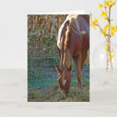 Pferd im Sonnenuntergang Karte (Gelbe Blume)