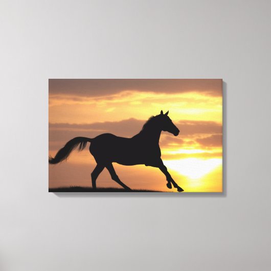 Pferd im Sonnenuntergang Leinwanddruck (Vorderseite)