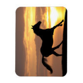 Pferd im Sonnenuntergang Magnet (Vertikal)