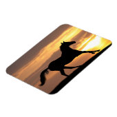 Pferd im Sonnenuntergang Magnet (Linke Seite)