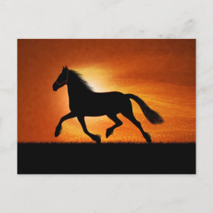Pferd im Sonnenuntergang Postkarte