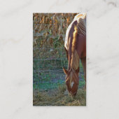 Pferd im Sonnenuntergang Visitenkarte (Rückseite)