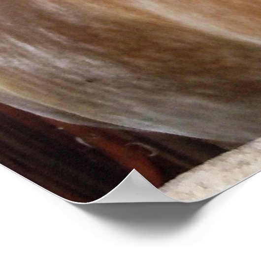 Pferd im Stall 1 Poster (Ecke)