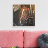 Pferd im Stall Leinwanddruck (Insitu (Wohnzimmer))