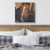 Pferd im Stall Leinwanddruck (Insitu (Schlafzimmer))