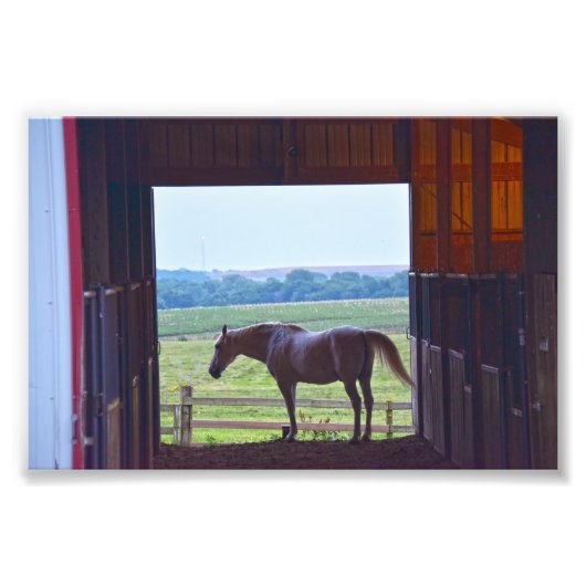 Pferd im Stall, Missouri Fotodruck (Vorne)