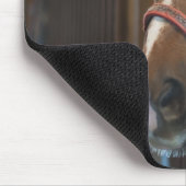 Pferd im Stall Mousepad (Ecke)