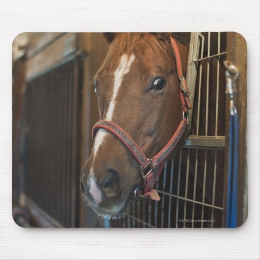 Pferd im Stall Mousepad (Vorne)