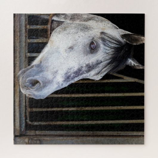 Pferd im Stall Puzzle (Horizontal)