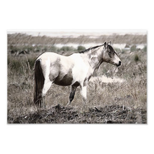 Pferd im Stile der Penzile Fotodruck