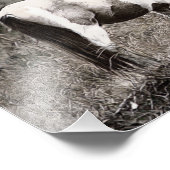 Pferd im Stile der Penzile Fotodruck (Ecke)