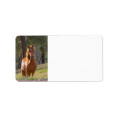 Pferd im Wald Adressaufkleber (Vorne)
