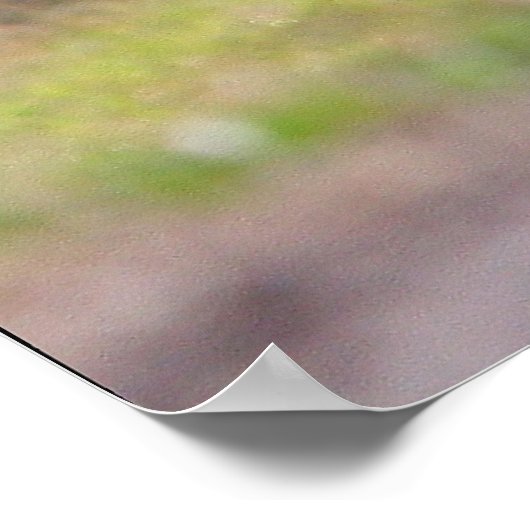 Pferd im Wald Plakatdruck AB 8.99 Poster (Ecke)