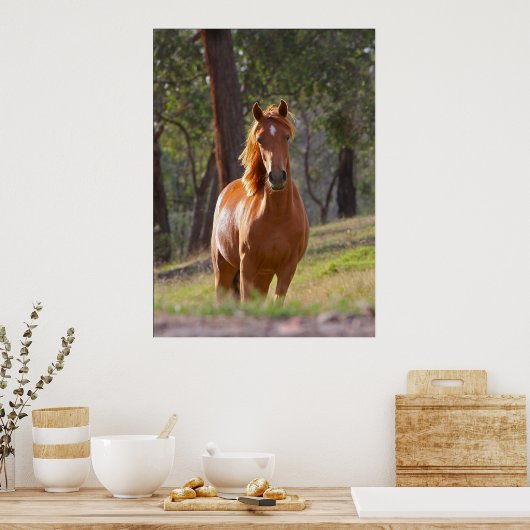 Pferd im Wald Plakatdruck AB 8.99 Poster (Küche)