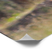 Pferd im Wald Poster (Ecke)