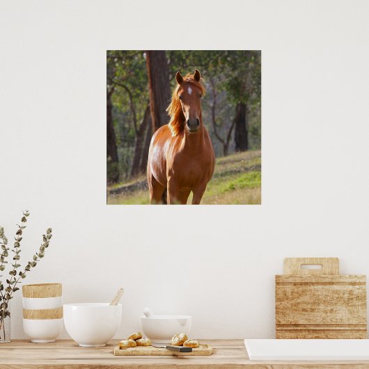 Pferd im Wald Poster (Küche)