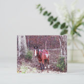 Pferd im Wald Postkarte (Stehend Vorderseite)