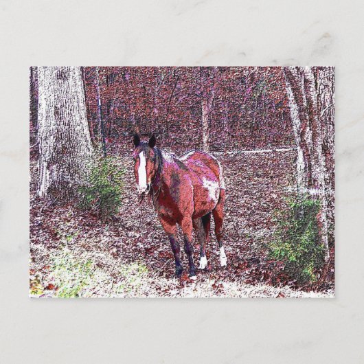 Pferd im Wald Postkarte (Vorderseite)