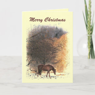 Pferd im Winter Weihnachten