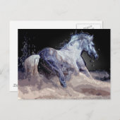 Pferd in Aktion Postkarte (Vorne/Hinten)
