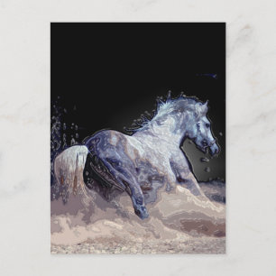Pferd in Aktion Postkarte
