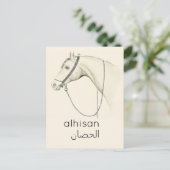 Pferd in Arabisch - Vintage Abbildung Postkarte (Stehend Vorderseite)