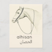 Pferd in Arabisch - Vintage Abbildung Postkarte (Vorderseite)