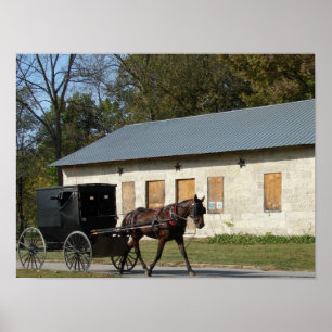 Pferd in Bentonsport, Iowa Poster