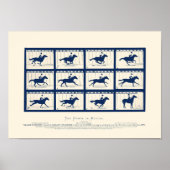 Pferd in Bewegung - Sallie Gardner am Gallop Poster (Vorne)