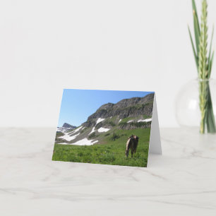 Pferd in den Bergen