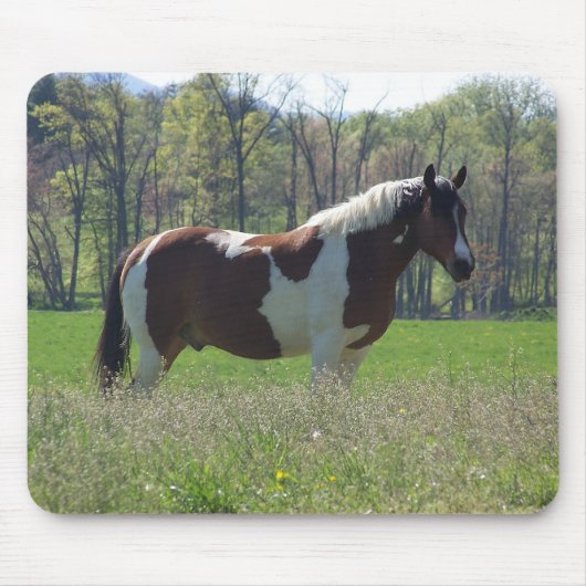Pferd in den Wildblumen Mousepad (Vorne)
