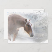 Pferd in der Schneesaison - Grüße Postkarte (Vorne/Hinten)
