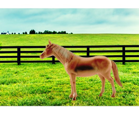 Pferd in der Weide Kissen