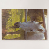 Pferd in der Weide Puzzle (Horizontal)
