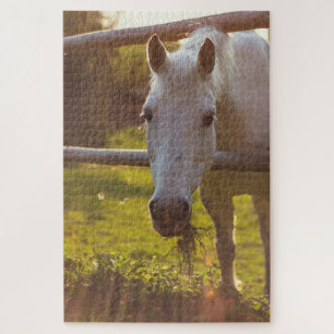 Pferd in der Weide Puzzle