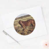 Pferd in der Weide Runder Aufkleber (Umschlag)
