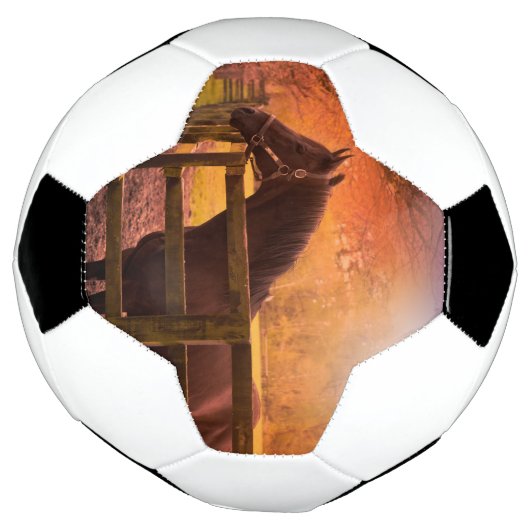 Pferd in der Wiese Ball (Gedreht)