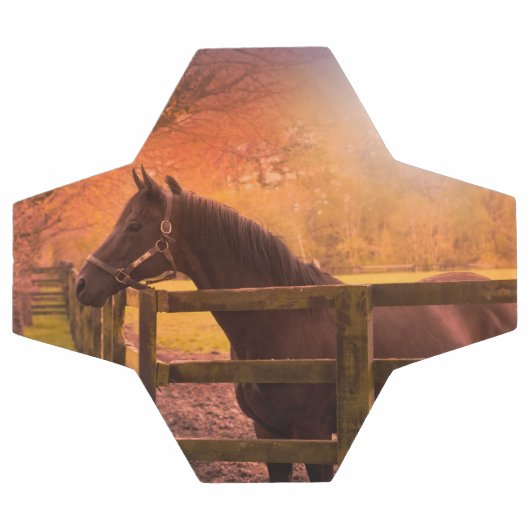 Pferd in der Wiese Ball (Flach)