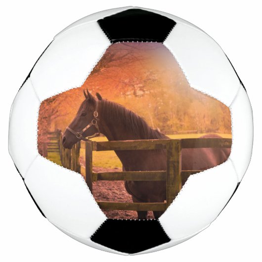 Pferd in der Wiese Ball (Vorderseite)