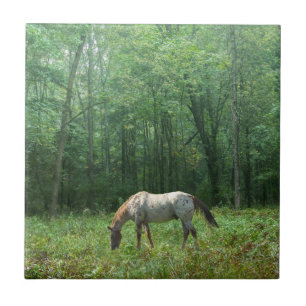 Pferd in der Wiese Fliese