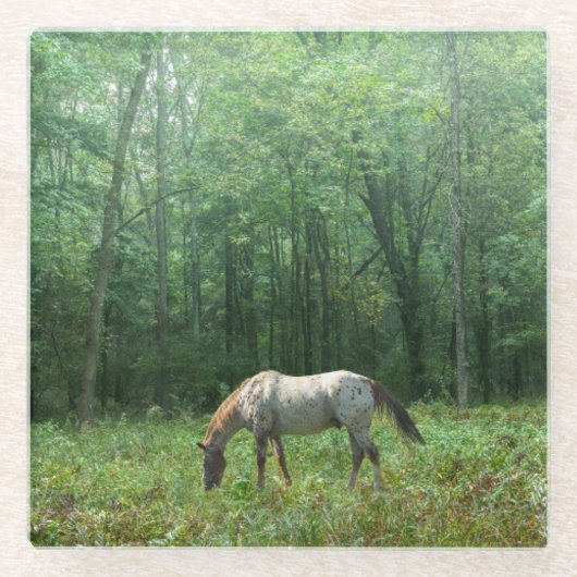 Pferd in der Wiese Glasuntersetzer (Vorderseite)