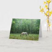 Pferd in der Wiese Karte (Gelbe Blume)