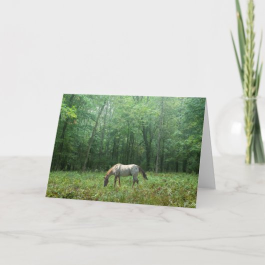 Pferd in der Wiese Karte (Vorderseite)