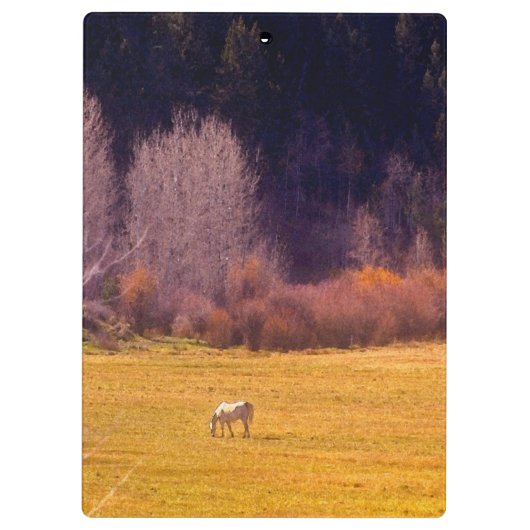 Pferd in Fall I Klemmbrett (Rückseite)