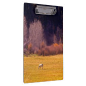 Pferd in Fall I Klemmbrett (Rechts)