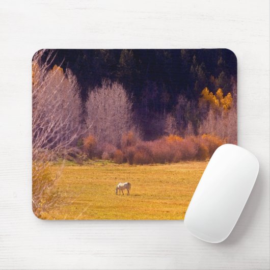 Pferd in Fall I Mousepad (Mit Mouse)