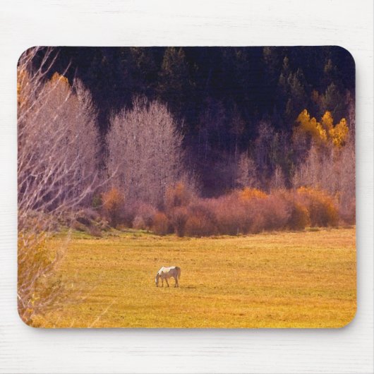 Pferd in Fall I Mousepad (Vorne)