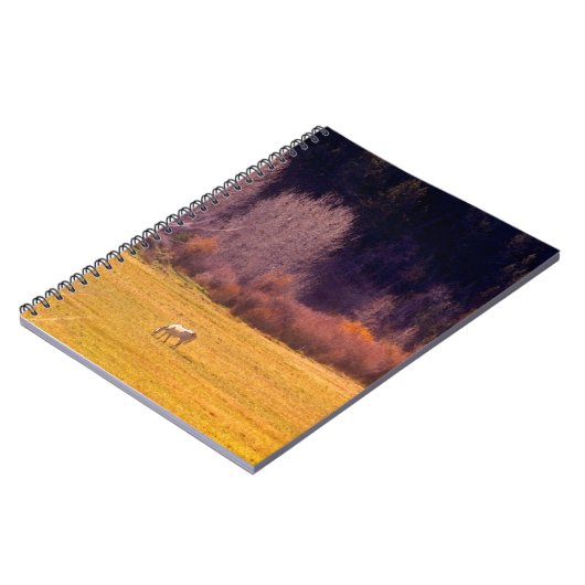 Pferd in Fall I Notizblock (Linke Seite)