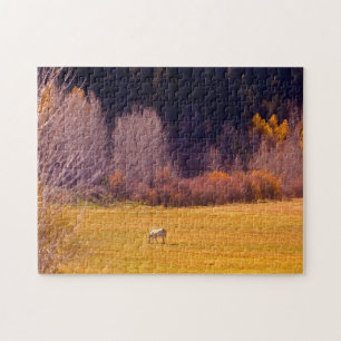 Pferd in Fall I Puzzle
